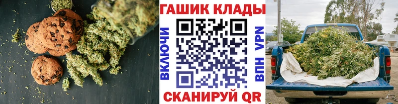 Купить где  Сураж  Canna-Cookies конопля 